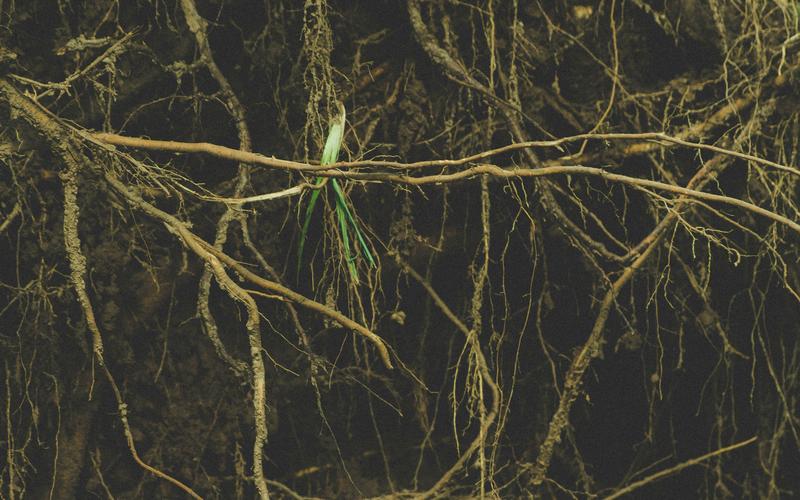 Hypnosystemische Therapie - Wasser fließt